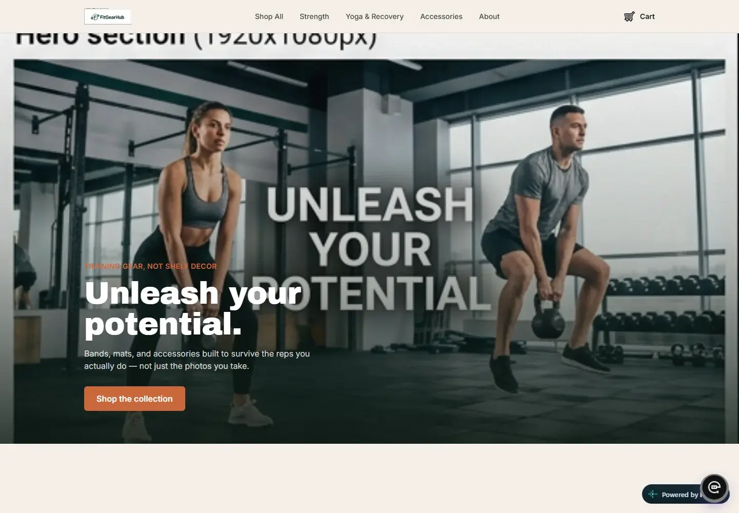 FitGearHub website